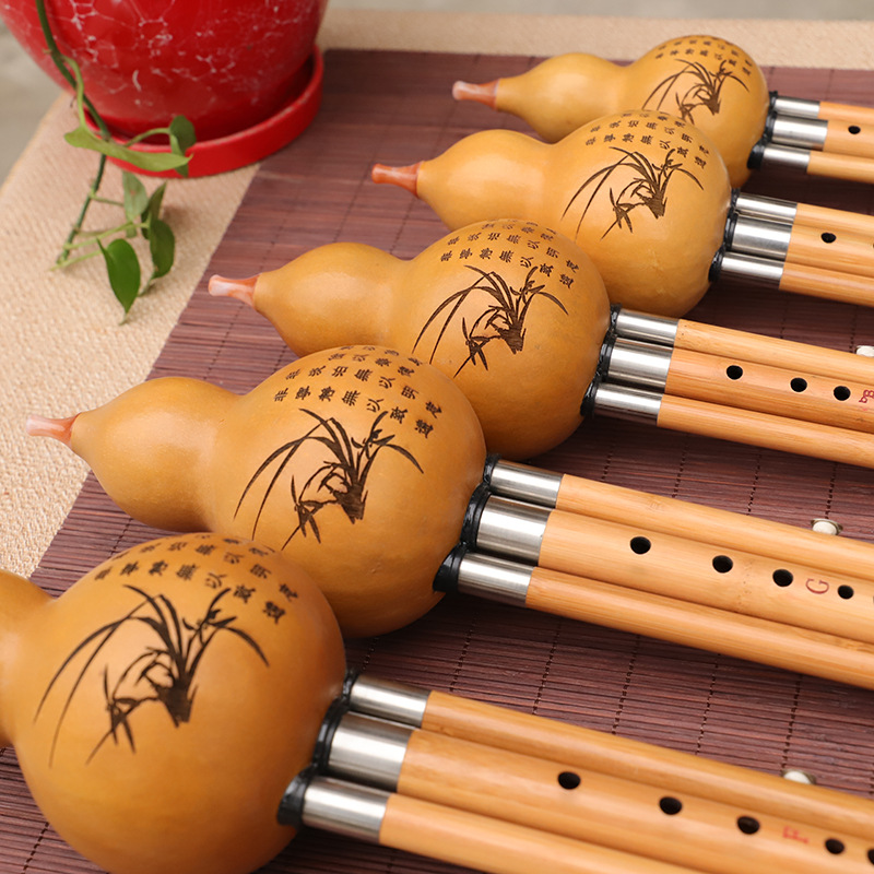 Nanzhu – Instrument de musique - Musical Instrument You Blow Into avis et prix