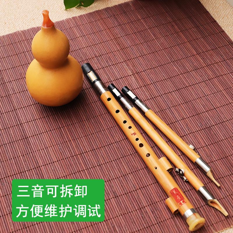 Nanzhu – Instrument de musique - Musical Instrument You Blow Into avis et prix