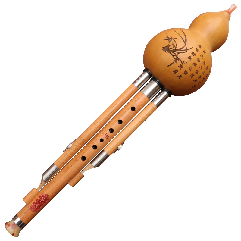 Nanzhu – Instrument de musique - Musical Instrument You Blow Into avis et prix