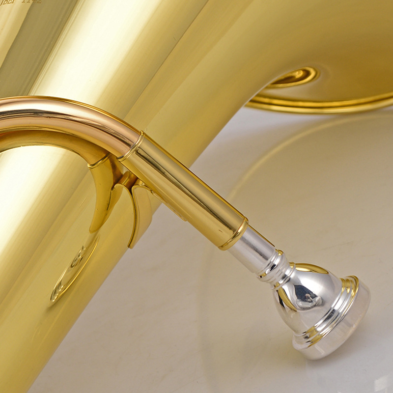 Euphonium Bb Tone 3 Plus 1, co - Musical Instrument Euphonium avis et prix